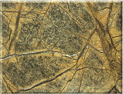 �Ꭷ������